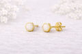 Hexagon Earrings