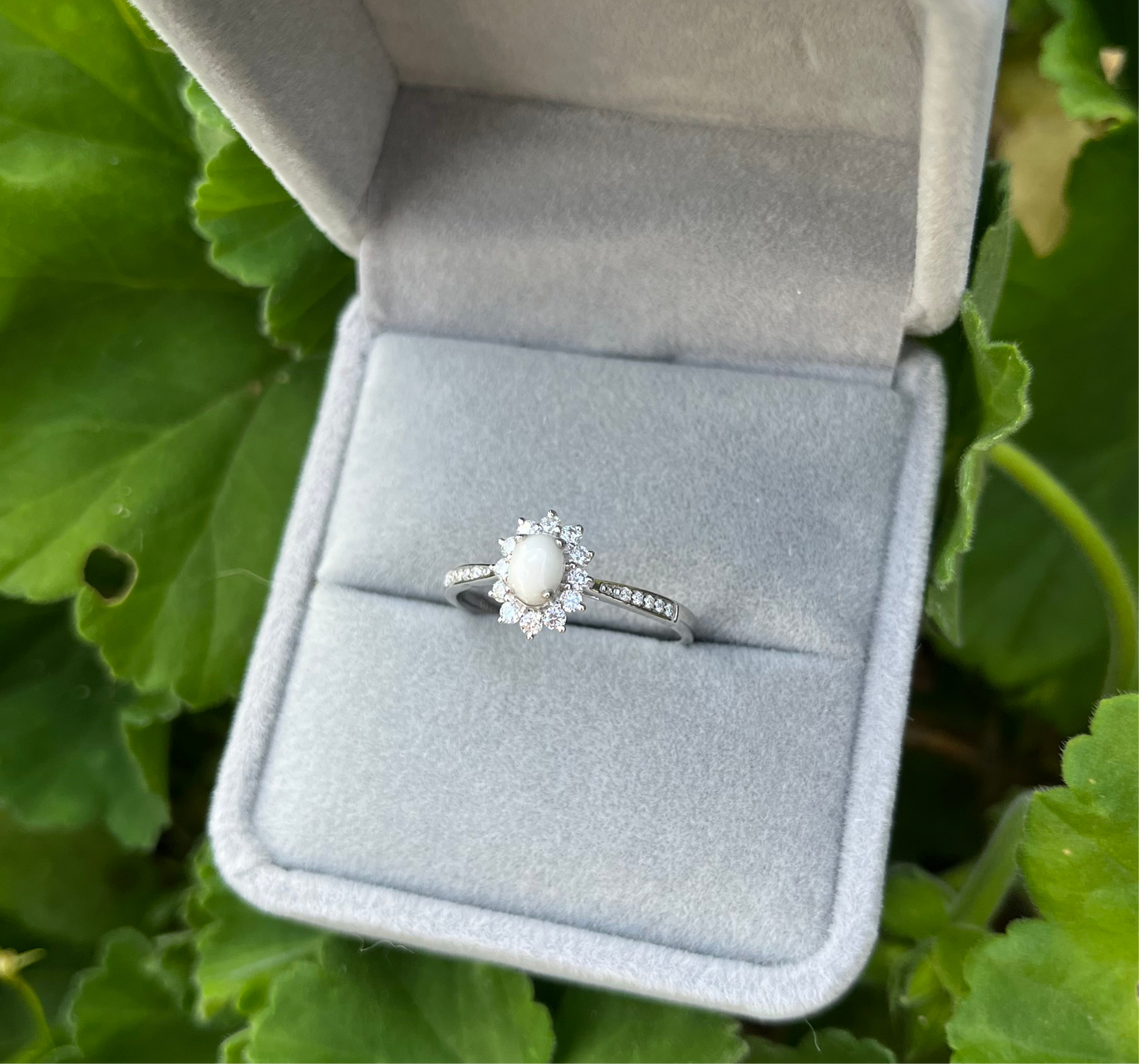 The Elsie Ring