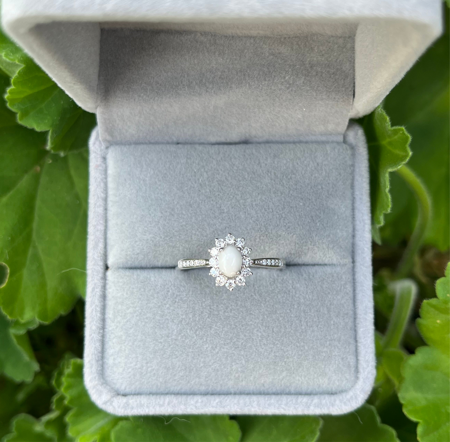 The Elsie Ring
